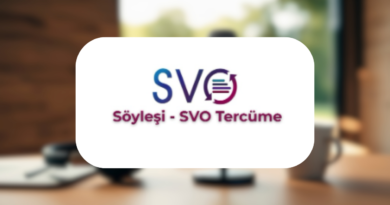 Çeviri Sektörünün İçinden: Ceren Höbek ile Çevirmenlik Üzerine Bir Söyleşi